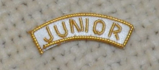 Provincial Apron Badge Appendage - DRESS - "JUNIOR"